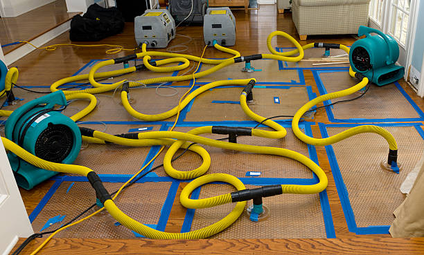 Professional Basement Flood Cleanup technician working in Missouri, MO